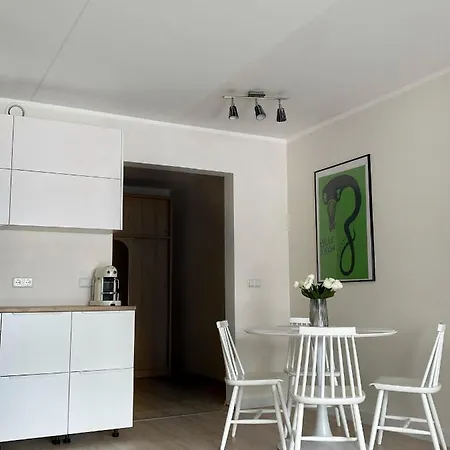 Lovely Studio With Balcony In Central Appartement Tartu
